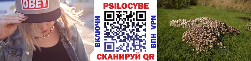 omg онион  купить   Карабаново  Галлюциногенные грибы мухоморы 